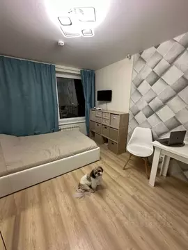 Студия Москва Ярославское ш., 116К2 (20.0 м)