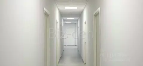 Офис в Санкт-Петербург Хрустальная ул., 11Х (145 м)