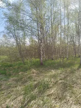 Участок в Московская область, Клин городской округ, д. Радованье  ...