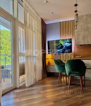 Студия Краснодарский край, Туапсинский муниципальный округ, с. ...