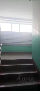 1-к кв. Омская область, Омск Московка-2 мкр, ул. Молодова, 6 (30.0 м)