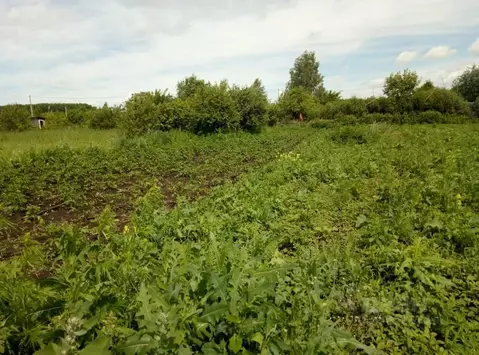 Участок в Башкортостан, Уфимский район, Русско-Юрмашский сельсовет  ...