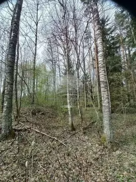 Участок в Новгородская область, Валдайский муниципальный район, ...