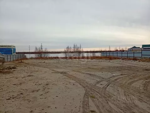 Участок в Ямало-Ненецкий АО, Новый Уренгой Дружба ТСН,  (8.29 сот.)