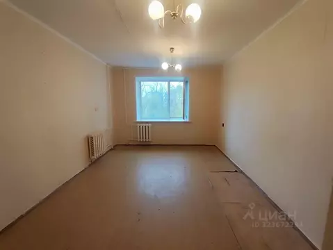 Студия Пермский край, Пермь Подлесная ул., 13 (17.9 м)