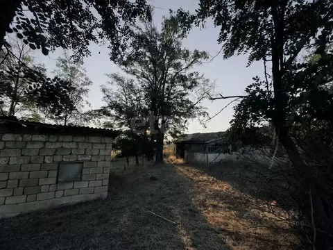 Дом в Крым, Белогорский район, Васильевское с/пос, с. Малиновка ул. ...