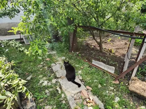 Участок в Крым, Симферополь ул. Народная, 56 (6.0 сот.)