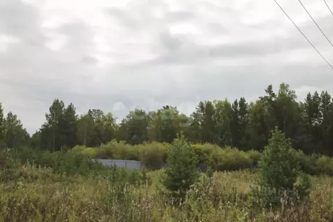 Участок в Свердловская область, Полевской муниципальный округ, д. ...