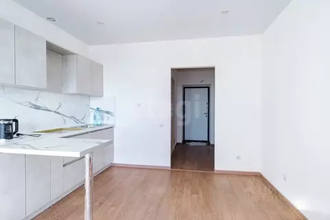 Студия Амурская область, Благовещенск ул. Островского, 110 (25.6 м)