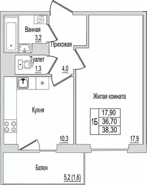 1-к кв. Псковская область, Псков ул. Юности, 10к1 (38.3 м)