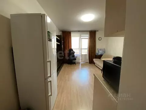 Студия Санкт-Петербург Туристская ул., 22 (25.0 м)