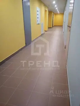 Студия Ленинградская область, Мурино Всеволожский район, ул. ...