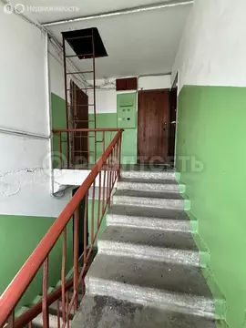 1к в 3-комнатной квартире (10.4 м)