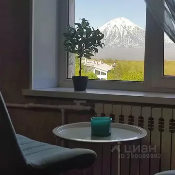 3-к кв. Камчатский край, Елизово ул. Рябикова, 49 (54.0 м)