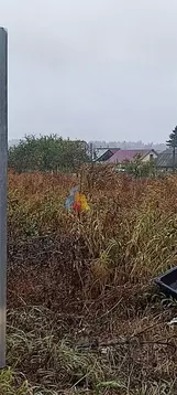 Участок в Тульская область, Тула городской округ, д. Петелино  (10.0 ...