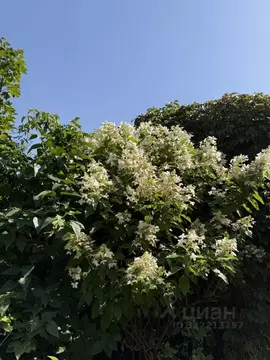 Дом в Москва д. Яковлевское, ул. Речная, 6 (145 м)