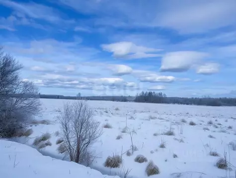 Участок в Ленинградская область, Волховский район, Деревня Вындин ...