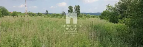 Участок в Амурская область, Благовещенский район, с. Новотроицкое ул. ...