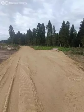 Участок в Ленинградская область, Гатчинский муниципальный округ, ...