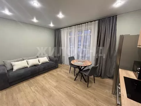 Студия Новосибирская область, Новосибирск Большевистская ул., 32/1 ...