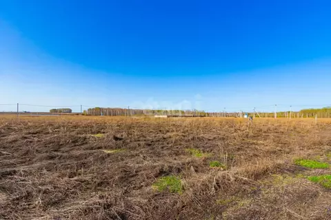 Участок в Тюменская область, Тюменский муниципальный округ, ...