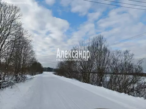 Участок в Ленинградская область, Гатчинский муниципальный округ, ...