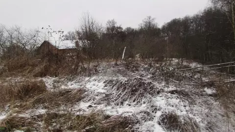 Участок в Московская область, Коломна городской округ, с. Сеньково ул. ...