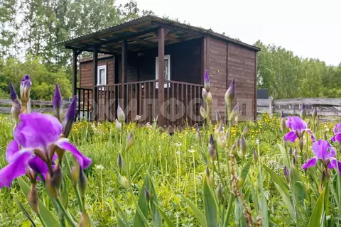 Дом в Новосибирская область, Коченевский район, Ясень СНТ ул. Светлая ...