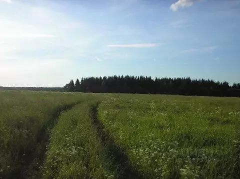 Участок в Тверская область, Калининский муниципальный округ, д. ...