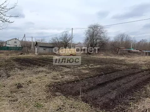 Участок в Брянская область, Брянский район, Снежское с/пос, с. ...