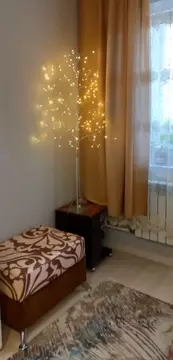 Студия Московская область, Воскресенск ул. Ломоносова, 119к2 (23.0 м)