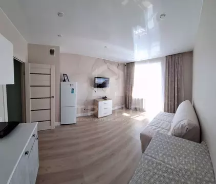 Студия Санкт-Петербург ш. Суздальское, 18к4 (23.6 м)