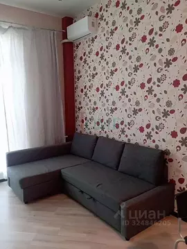 Студия Новосибирская область, Новосибирск ул. Гоголя, 204/1 (29.2 м)