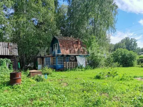 Дом в Новосибирская область, Новосибирск Сибиряк СНТ,  (54 м)