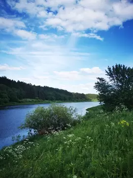 Участок в Тверская область, Калининский муниципальный округ, д. Глинки ...