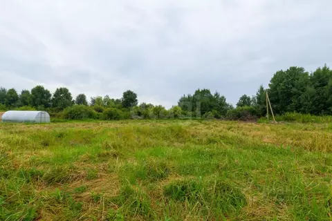 Участок в Тюменская область, Тюменский муниципальный округ, ...