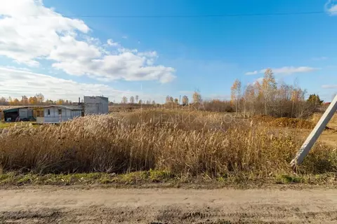 Участок в Тюменская область, Тюмень Поле Чудес садовое товарищество, ...