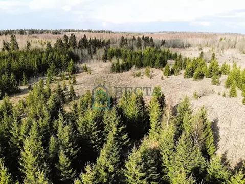 Участок в Ленинградская область, Гатчинский муниципальный округ, д. ...