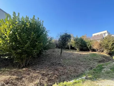 Участок в Краснодарский край, Сочи городской округ, с. Казачий Брод, ...