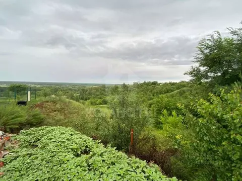 Участок в Воронежская область, Рамонский район, Березовское с/пос, д. ...