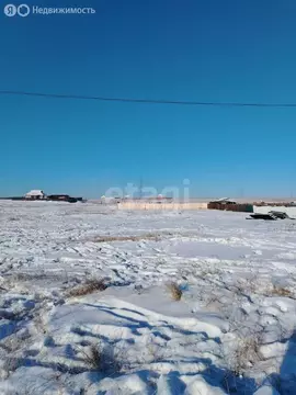 Участок в Забайкальский край, посёлок городского типа Чернышевск (15 ...