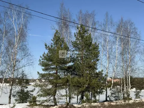 Продается участок в с. Ямкино