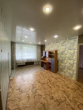 2-к кв. Ульяновская область, Ульяновск ул. Пушкарева, 52 (46.0 м)