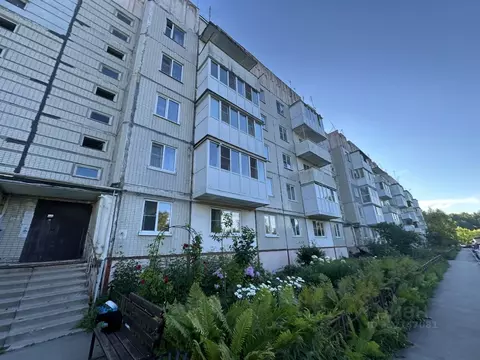 2-к кв. Нижегородская область, Балахнинский муниципальный округ, д. ...