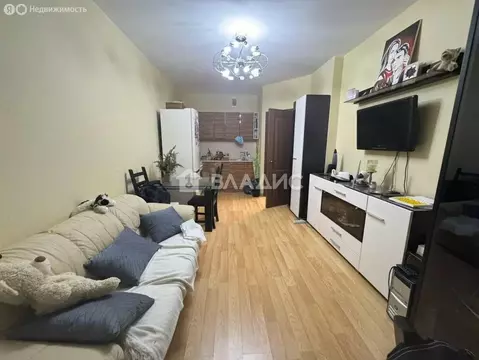 1-комнатная квартира: деревня Анкудиновка, Русская улица, 4 (36.6 м)