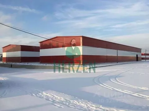 Производственное помещение в Москва д. Жуковка, 1 (1082 м)