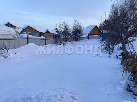 Участок в Новосибирская область, Новосибирск Бытовик СНТ, ул. ...