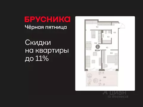 1-к кв. Курганская область, Курган Центральный жилрайон, Дом Кино ...