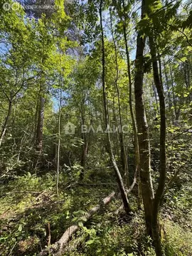 Участок в Выборгский район, Полянское сельское поселение, поселок ...