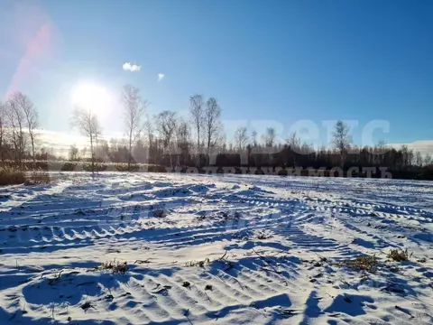 Участок в Тюменская область, Нижнетавдинский район, Строитель ТСН 168 ...